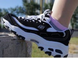 【Bsports必一体育】我校主办的林木分子生物学与生物技术国际研讨会成功召开(图1) b体育