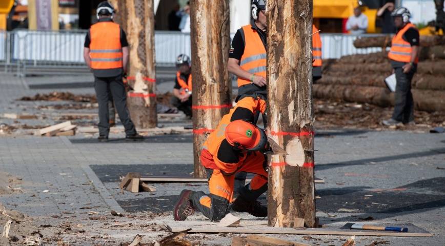 Bsports必一体育|
「汉诺威木匠机械展」世界重大的木料行业盛会(图6)