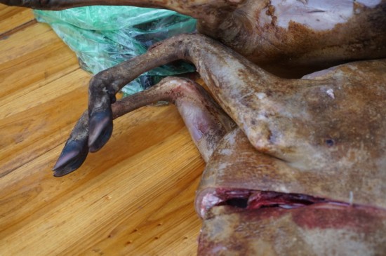 Bsports必一体育-我校举办离退休老同志集体祝寿会(图1) b体育