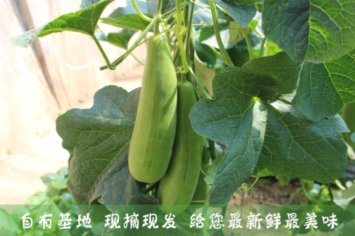 中国林产工业协会石木塑环保质料及制品分会建立大会在京隆重举行_Bsports必一体育(图2) 必一