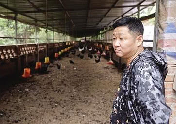 【必一】我校2014年暑期社会实践获团中央多项表彰(图1) b体育