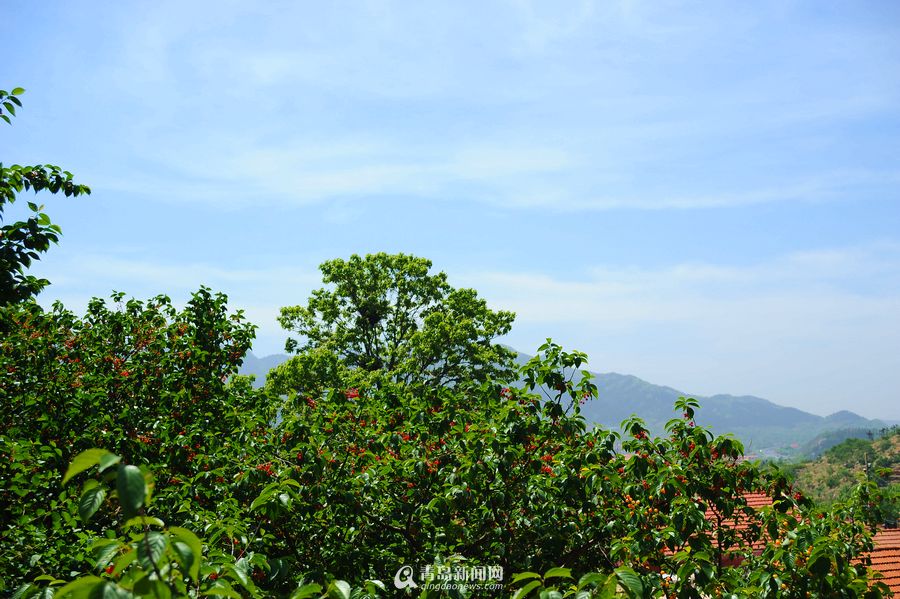 【Bsports必一体育】中国式家长首富达成条件 中国式家长首富要求(图1) Bsports必一体育