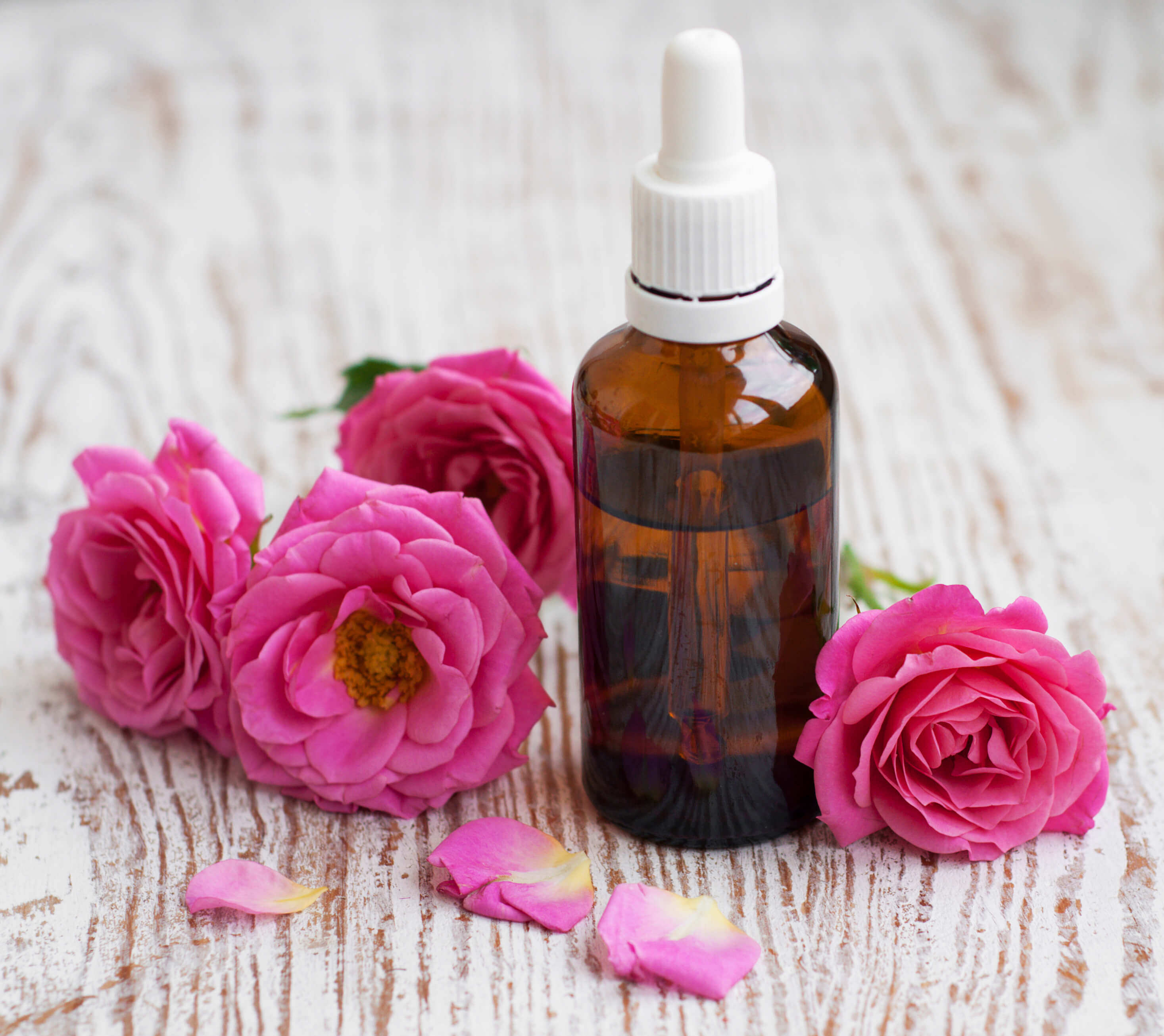 b体育|明日之后花生元宵怎么得 花生元宵食物属性一览(图2) 必一