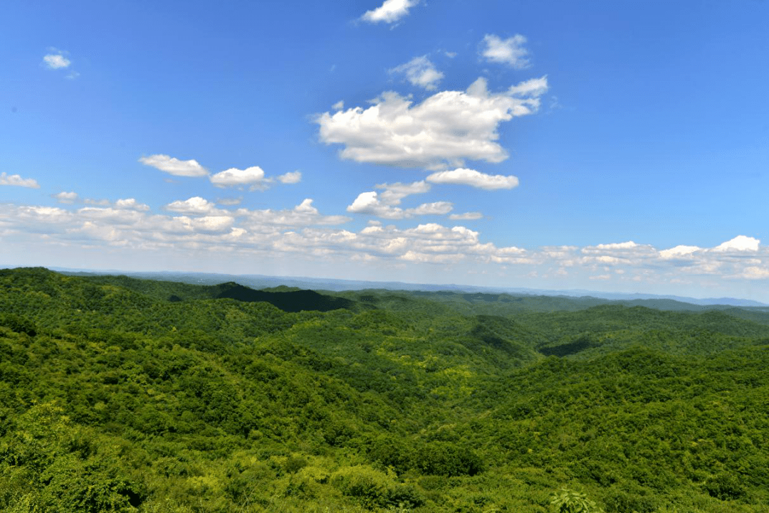 
【回眸“十三五” 展望“十四五”】加速生态林业建设 扮靓漂亮古豳大地-Bsports必一体育(图1)