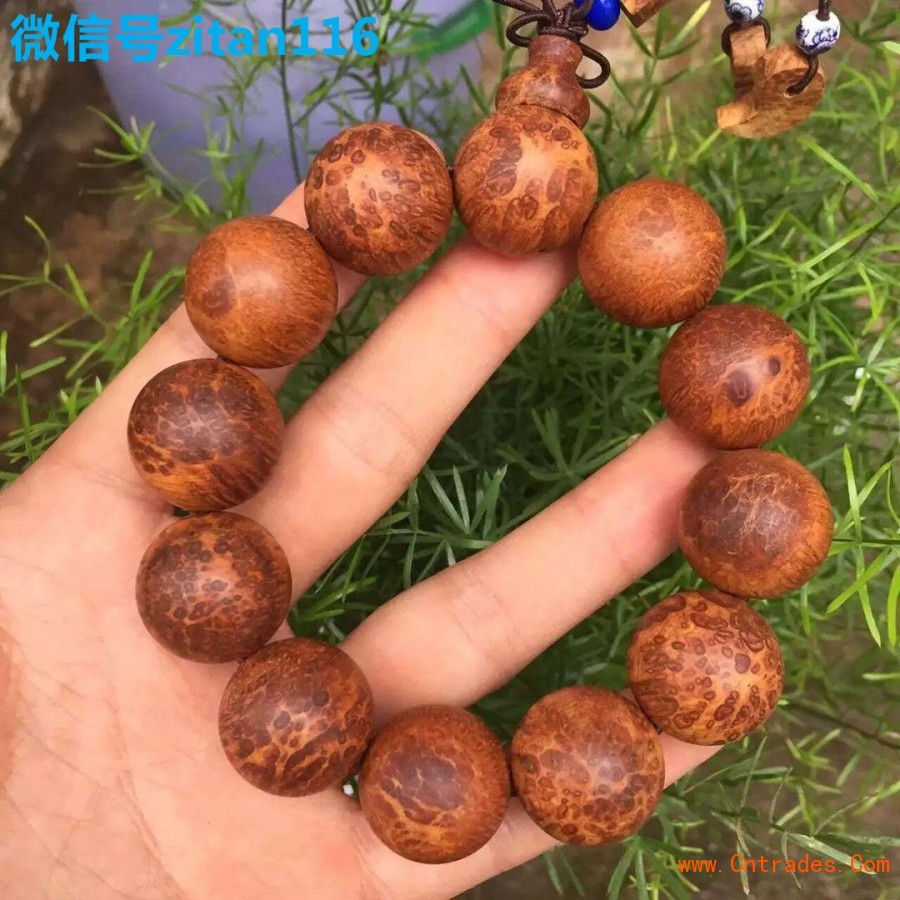 ‘Bsports必一体育’新西兰留学:坎特伯雷大学林业学专业解读(图1) 必一