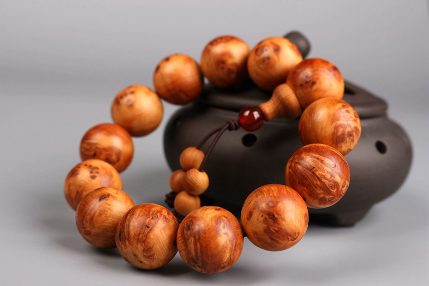 “保护野生动物,就是保护人类自己”|b体育(图1) b体育